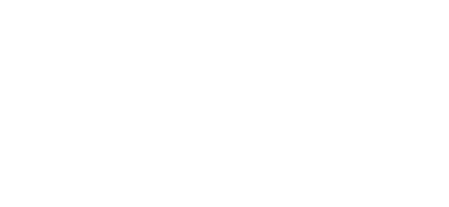 nicclogo blanco